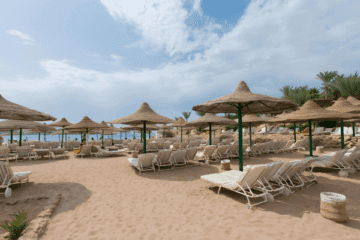 NonDiver Package (5)