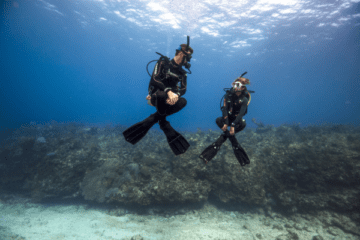 Peak Performance Diving (1)