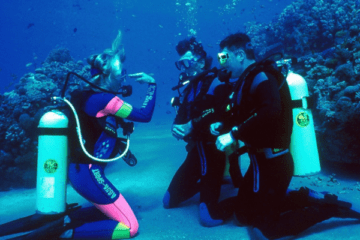 Peak Performance Diving