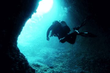 deep diving (1)