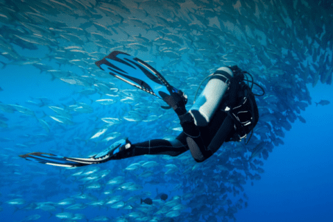 master scuba diver (1)