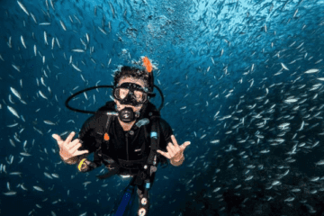 naturalist diving