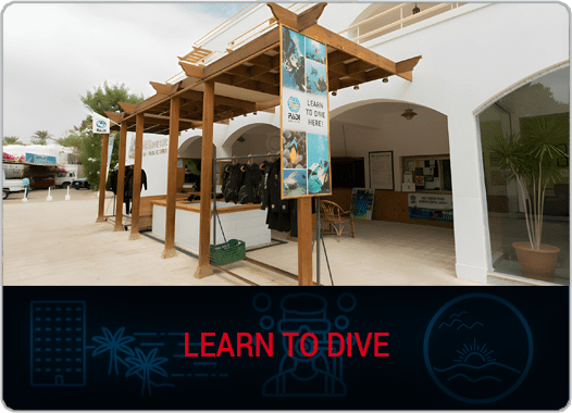 package-card_0004_LEARN-TO-DIVE