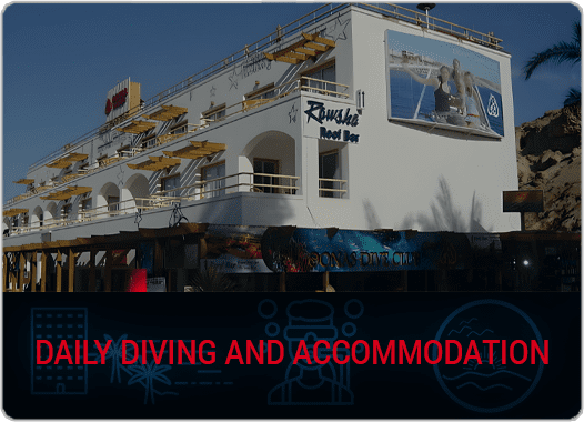 package-card_0005_DAILY-DIVING-AND-ACCOMMODATION
