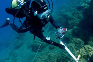 search & recovery (1)